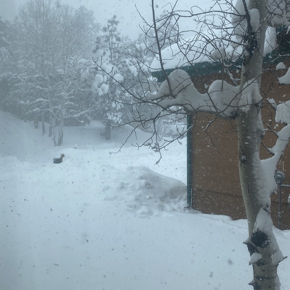 Meet your Posher, Ellen - Picture 1 of 2